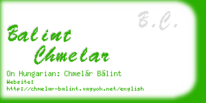 balint chmelar business card